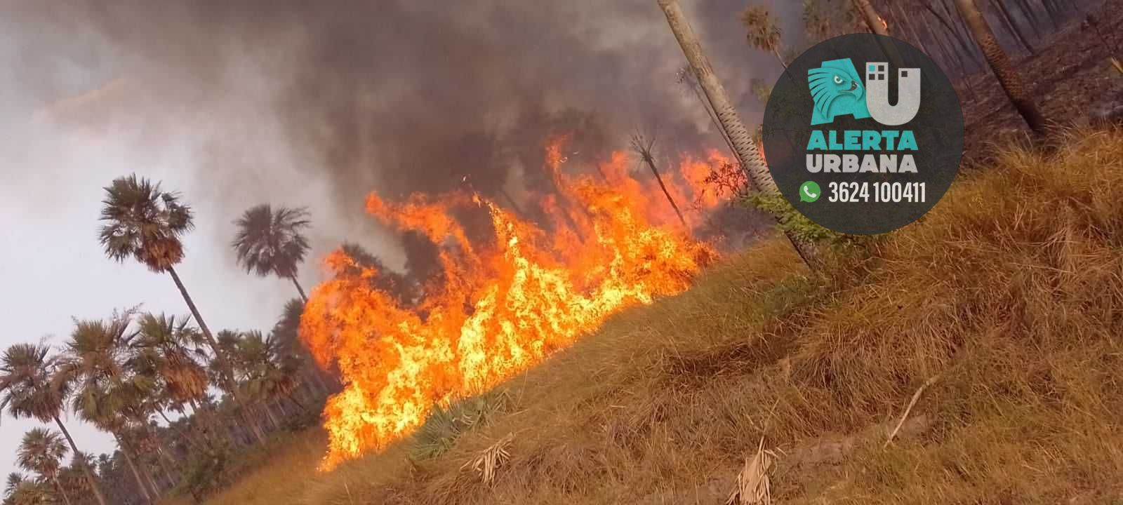 Chaco Y Otras Cuatro Provincias Registran Focos Activos De Incendios