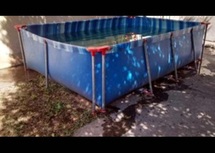 Tragedia en San Juan: una nena murió ahogada al intentar salvar a un gatito