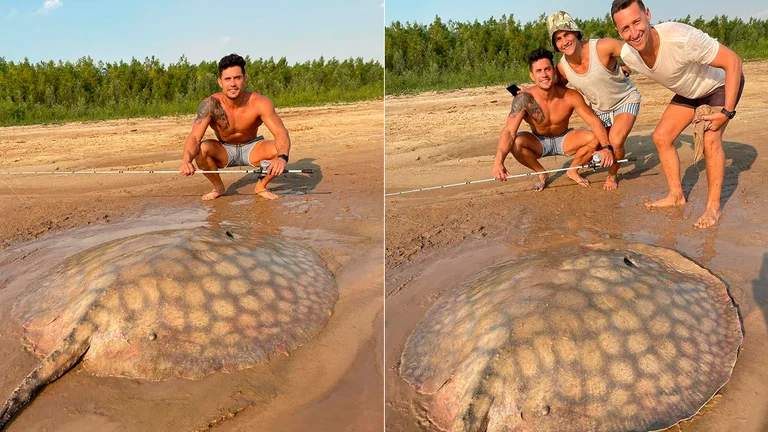 pescaron una enorme raya de 90 kilos en las costas de Rosario