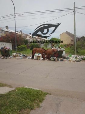Resistencia: vecinos denuncian acumulamiento de residuos