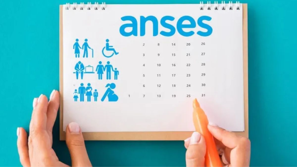 ANSES ajusta su cronograma: habrá actualización normativa en 2025