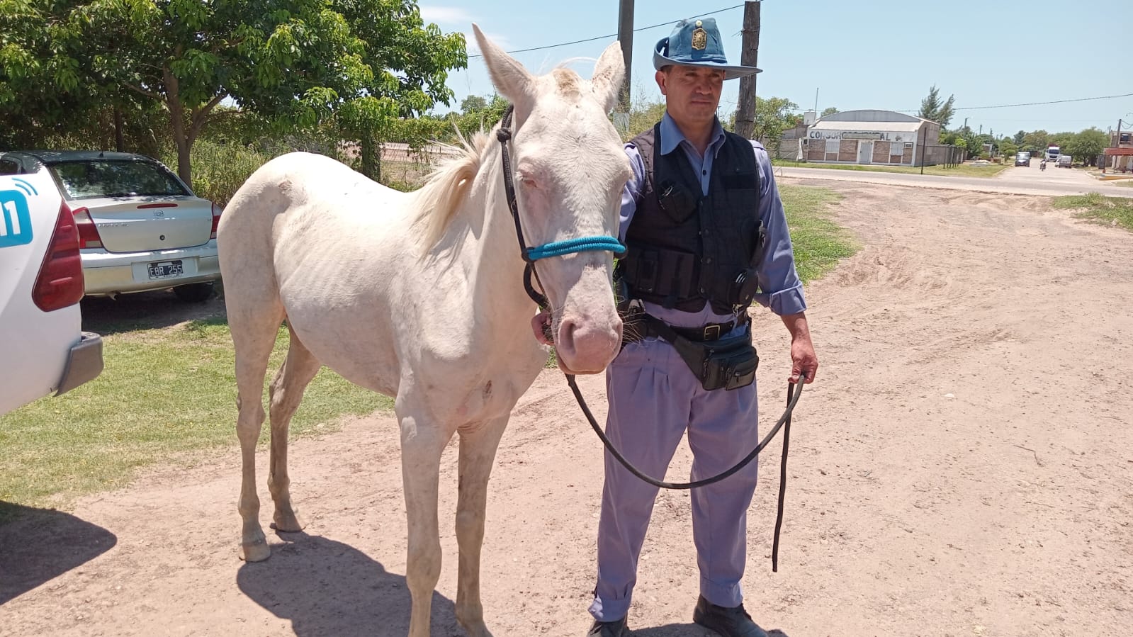  Robó un caballo y le mintió a su dueño que “murió en un choque”