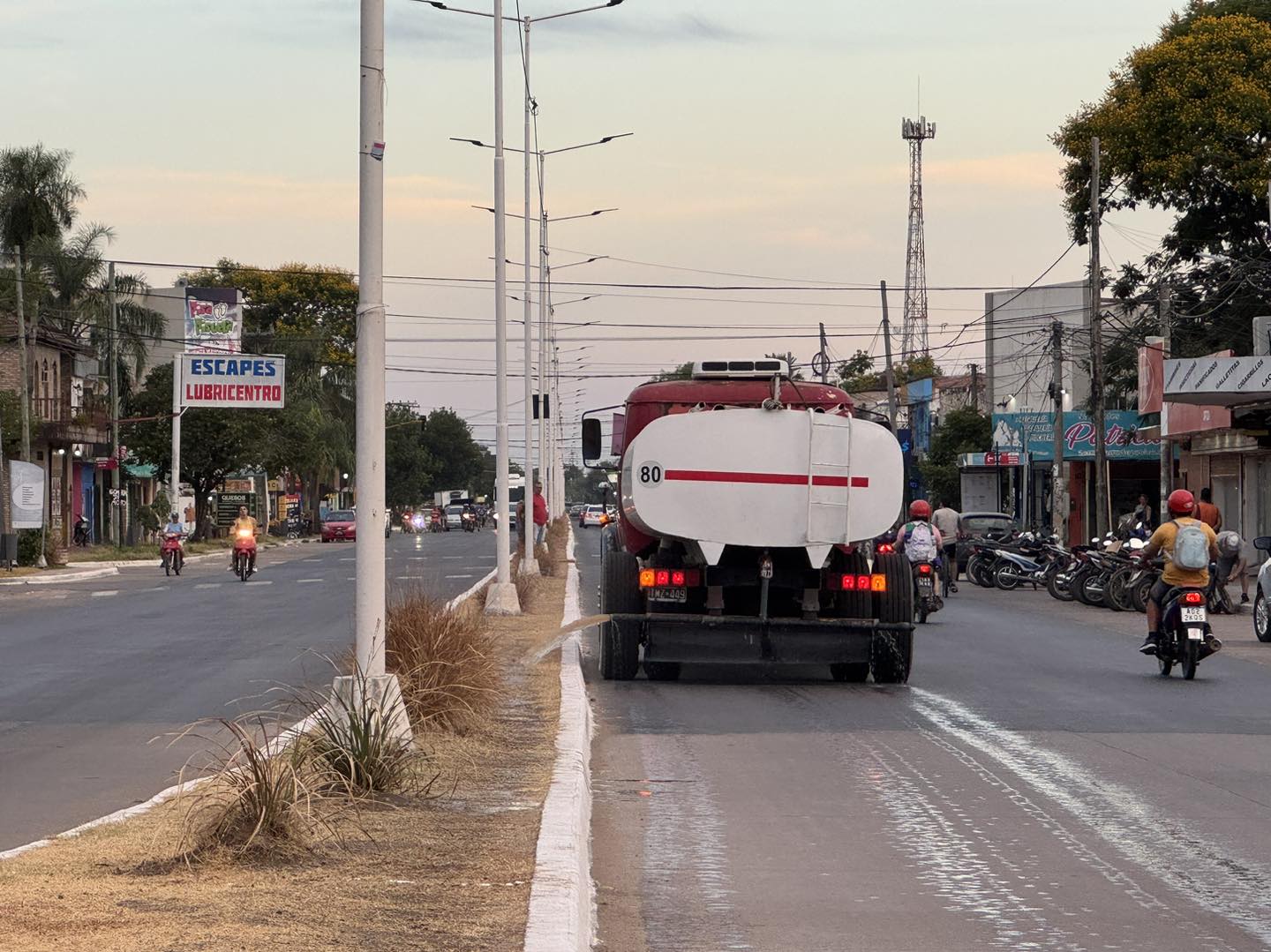  Municipio de Barranqueras: mantenimiento de parterres en Villa Rossi