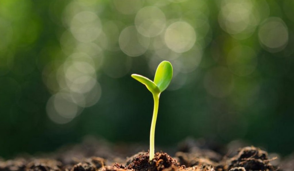 Hoy es el Día Internacional de la Educación Ambiental