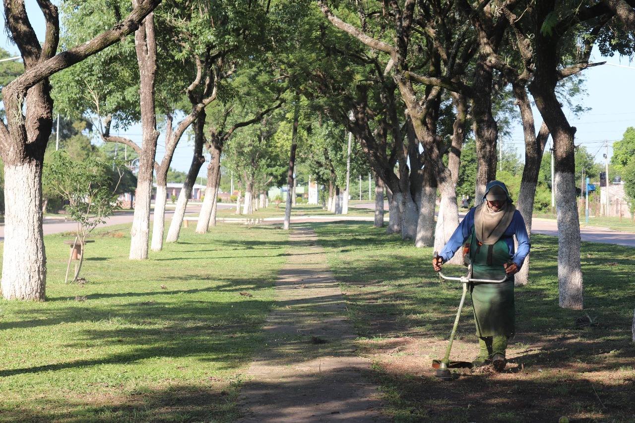 El municipio de Presidencia de la Plaza intensifica el desmalezado en barrios para prevenir plagas