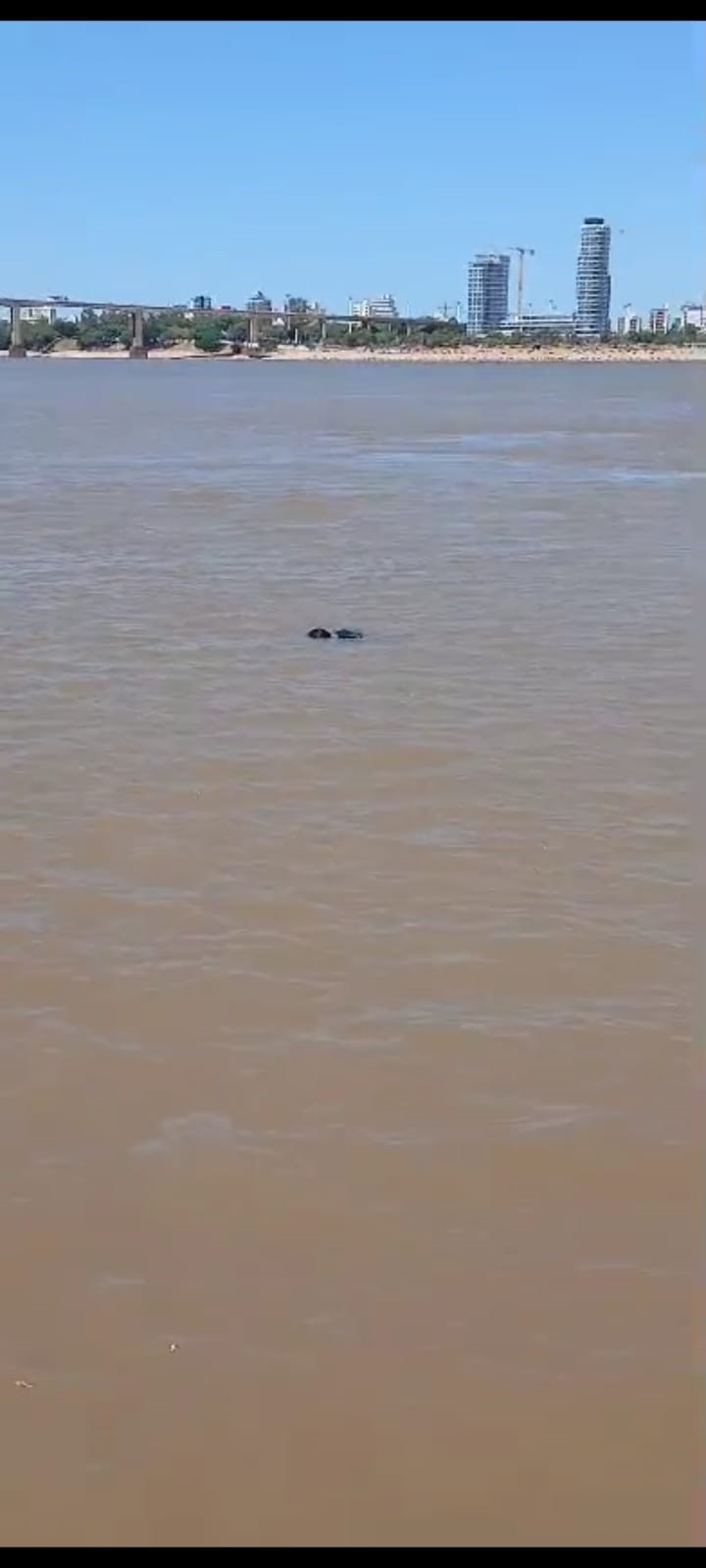 Exprefecto tomó la peor decisión en el puente Chaco-Corrientes