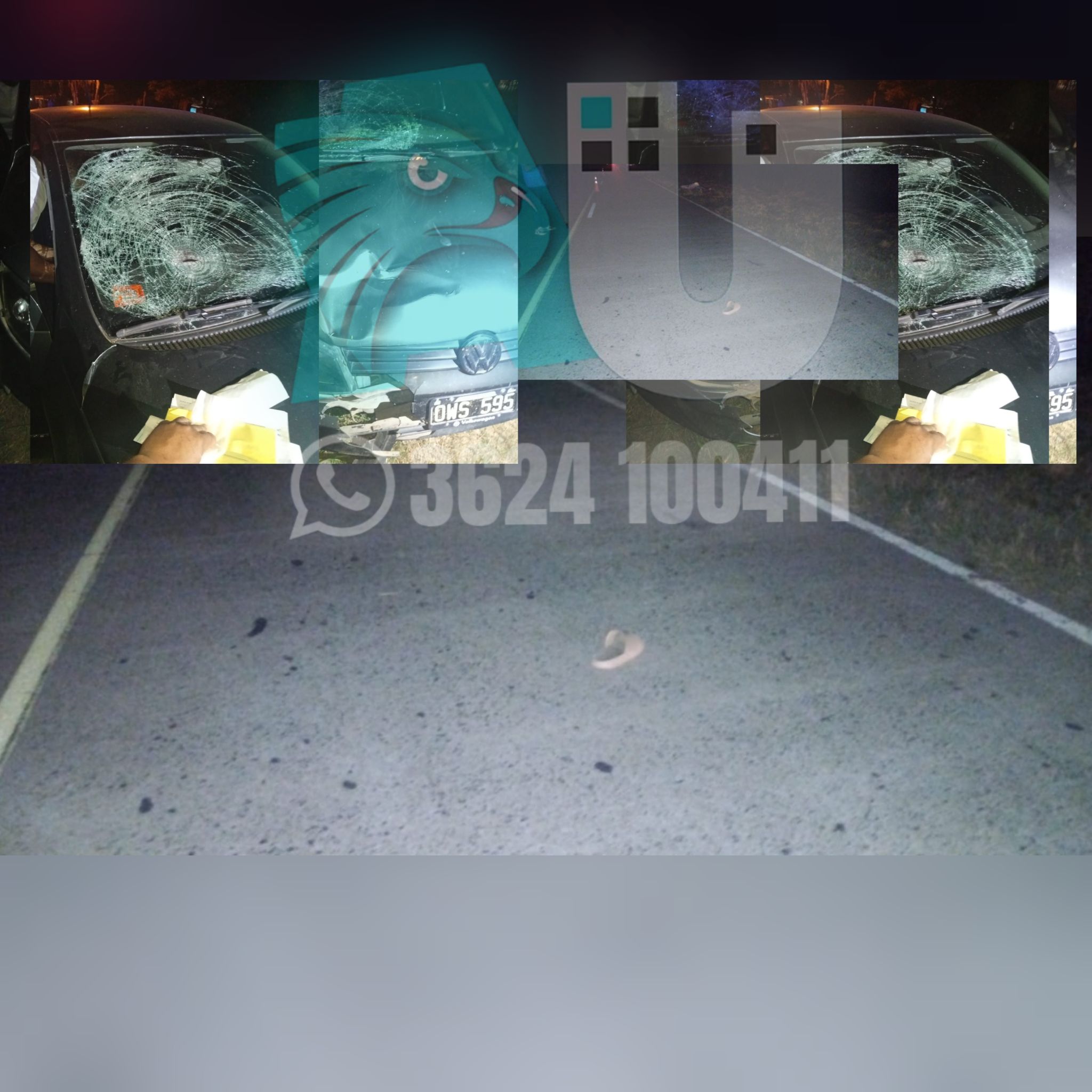   La Leonesa: una mujer muere atropellada al intentar cruzar la ruta