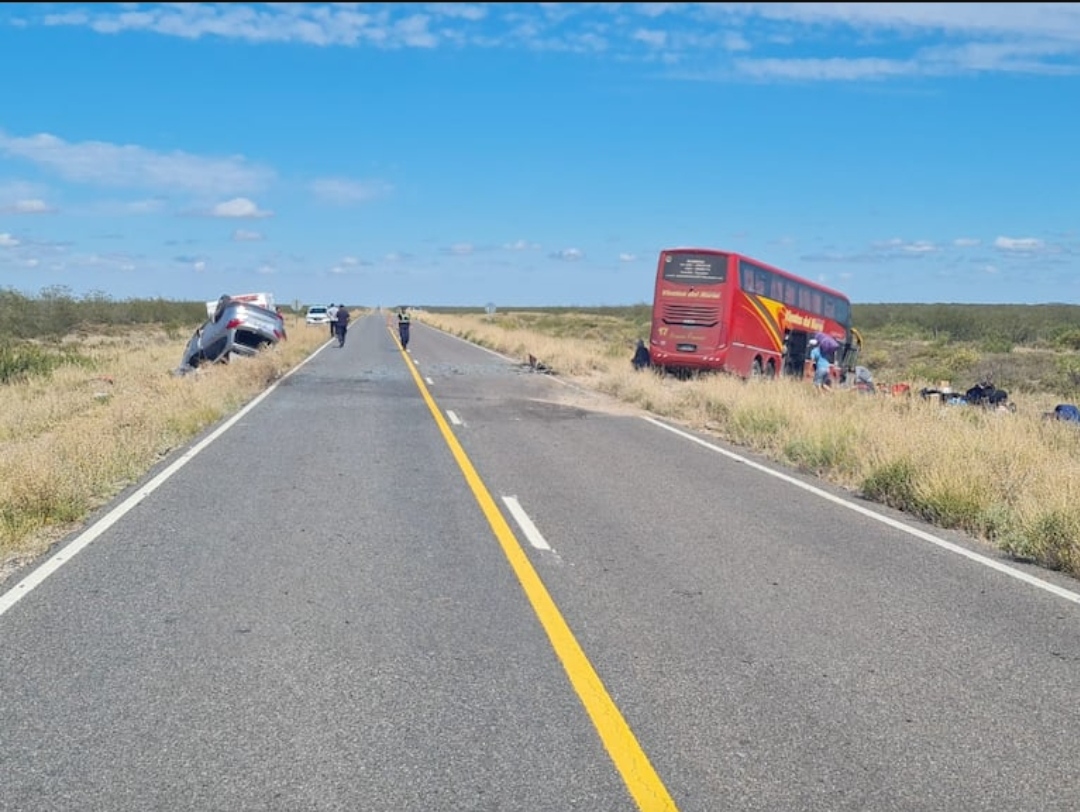 Tragedia en La Pampa: murieron cinco personas en un choque de frente entre un micro y una camioneta