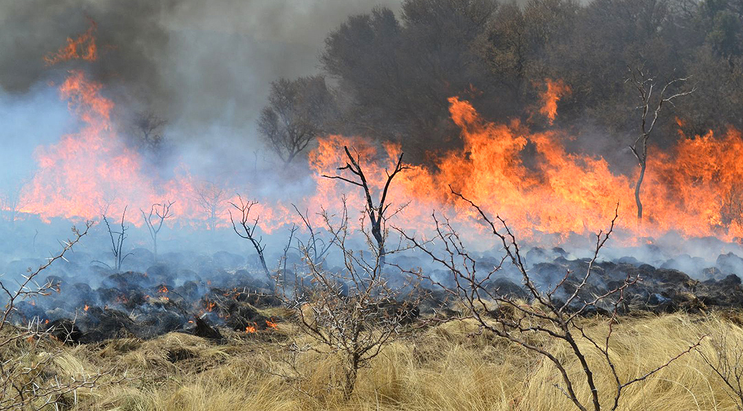Los incendios en Chaco según CorFor “es preocupante” 