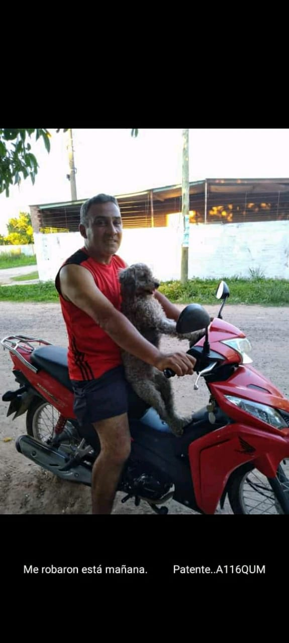 Resistencia: le robaron su motocicleta y ofrece recompensa para quien tenga información 