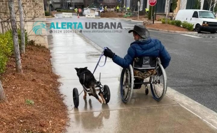 Hombre con discapacidad adopta a perrito en silla de ruedas que nadie quería