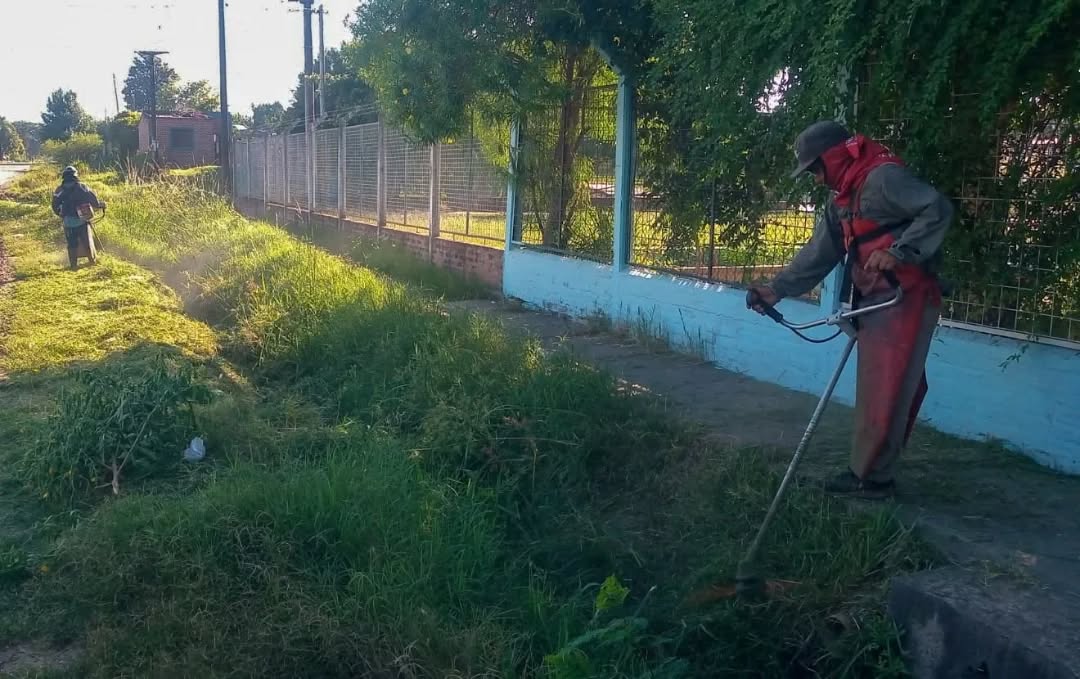 Municipalidad de Fontana: limpieza y desmalezado en jardines y barrios