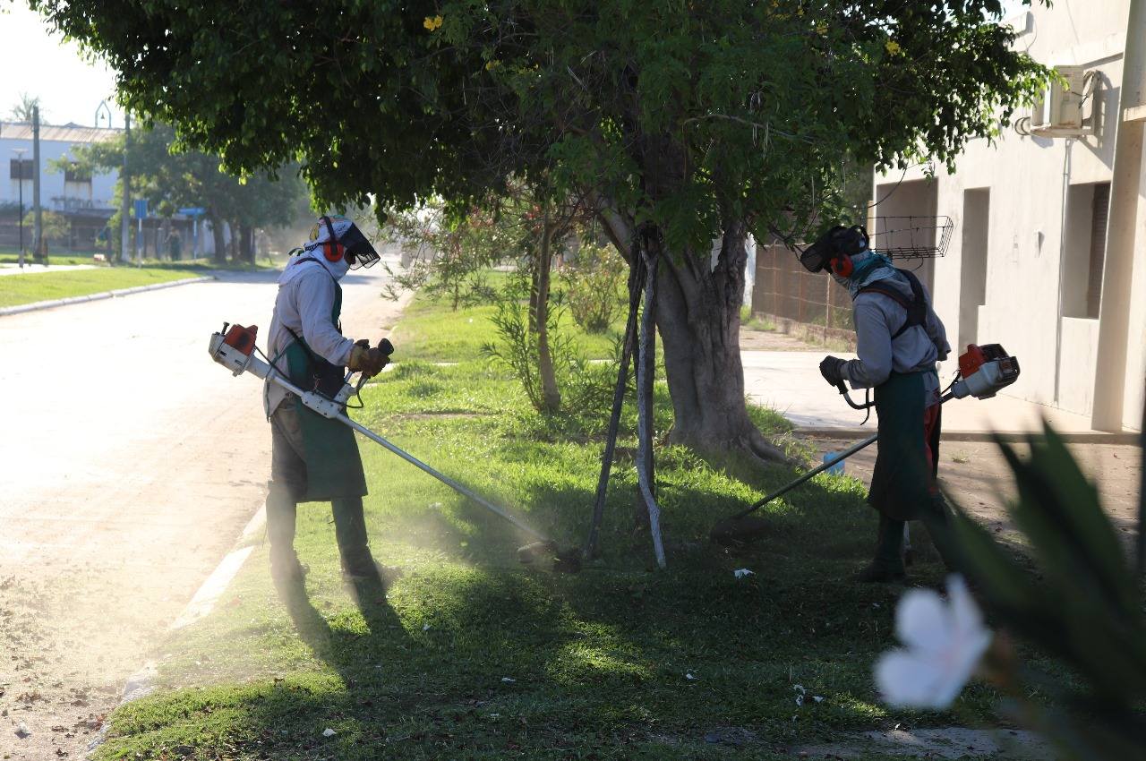 El municipio de Presidencia de la Plaza mantiene limpia la ciudad con tareas de desmalezado