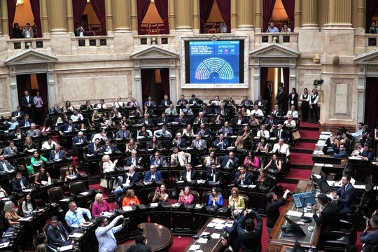 La suspensión de las PASO logró el visto bueno de Diputados