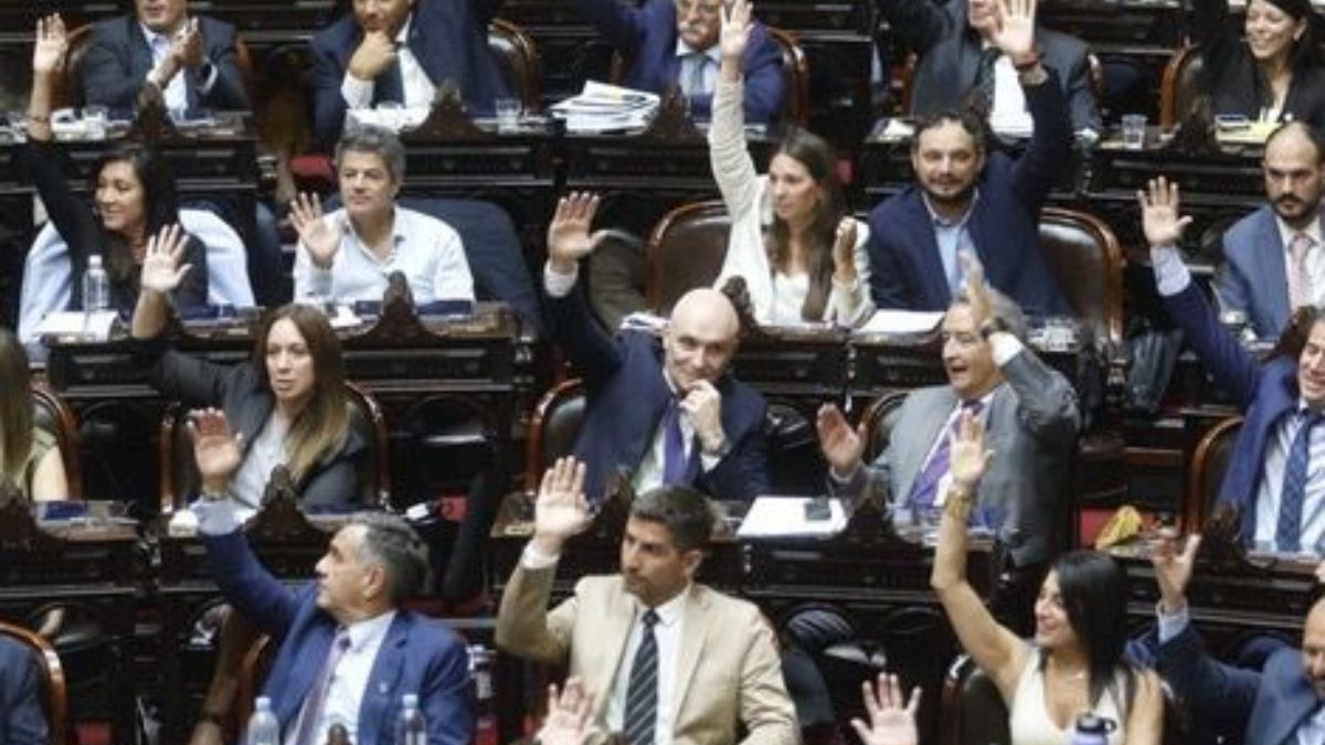 Diputados aprobó la suspensión de las PASO para este año