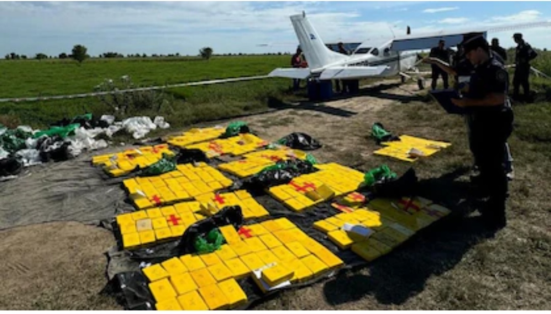 Analizarán el campo de Entre Ríos en el que cayó la avioneta que transportaba más de 350 kilos de cocaína