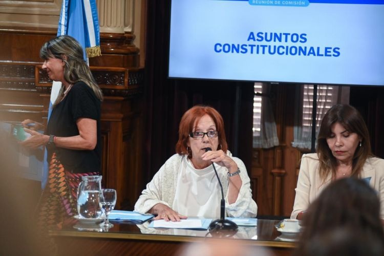 La suspensión de las PASO tuvo dictamen en el Senado y se votaría la semana próxima