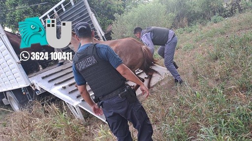 Setenta personas terminaron detenidas por participar en una carrera cuatrera 