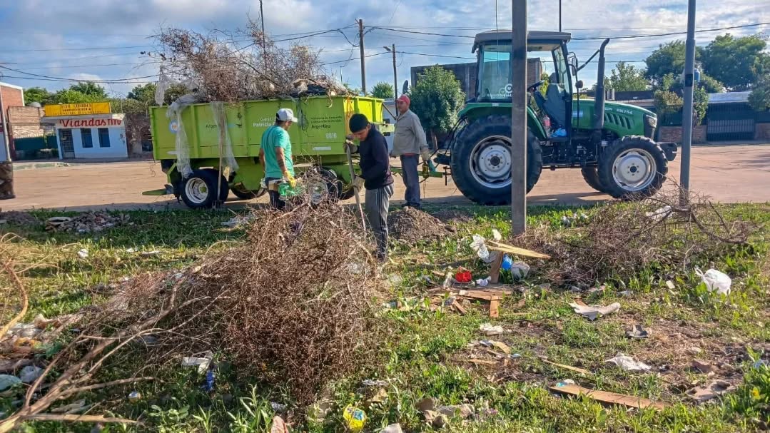 Limpieza y recolección de ramas en barrios de Fontana