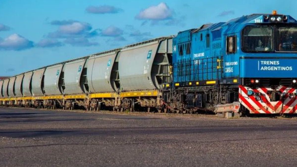 Gobierno anunció la privatización total del Belgrano Cargas