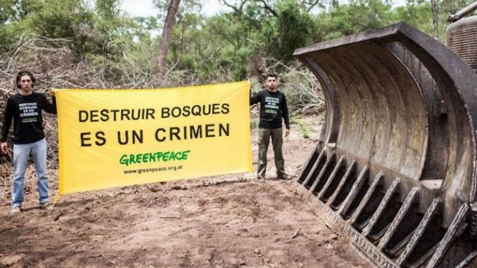 La Justicia Federal extendió seis meses la cautelar que frena desmontes