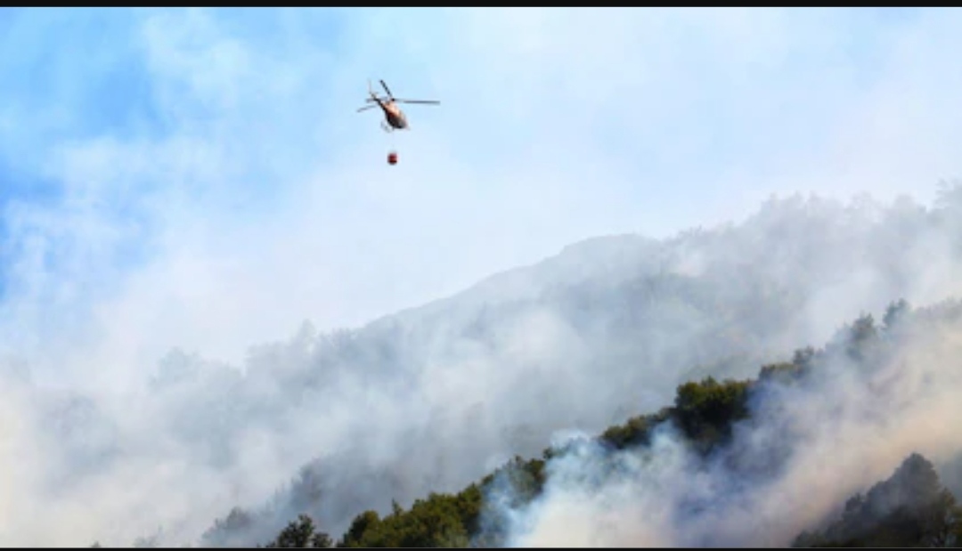 Incendios en Neuquén: la intensidad del fuego bajó y la cifra de hectáreas consumidas superó las 20 mil