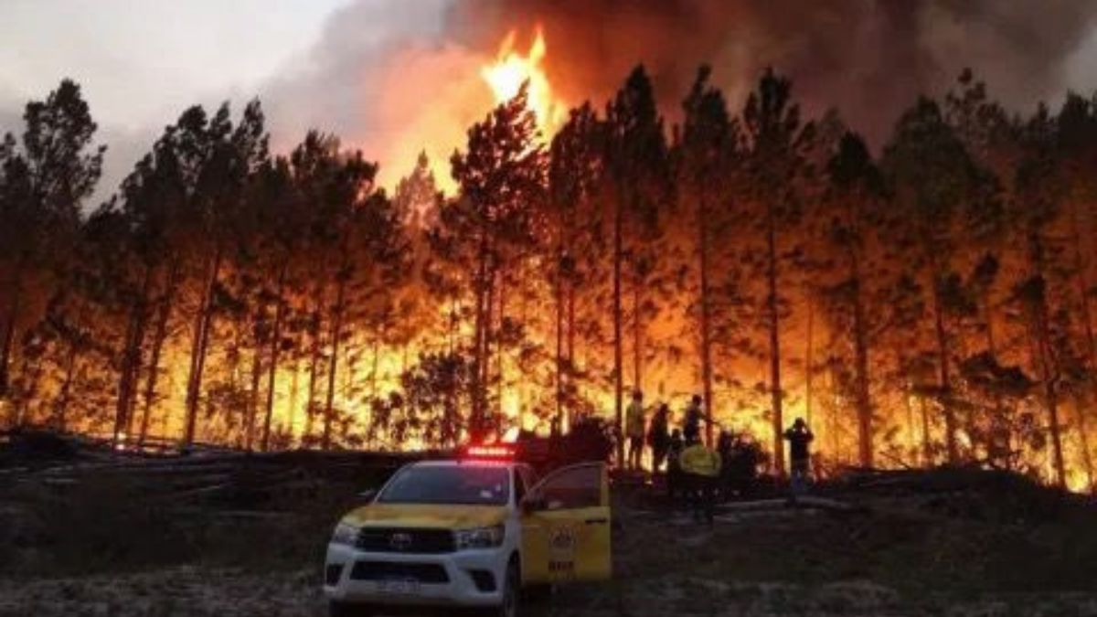 Corrientes arde: el fuego arrasó con el 90% de la provincia en dos décadas