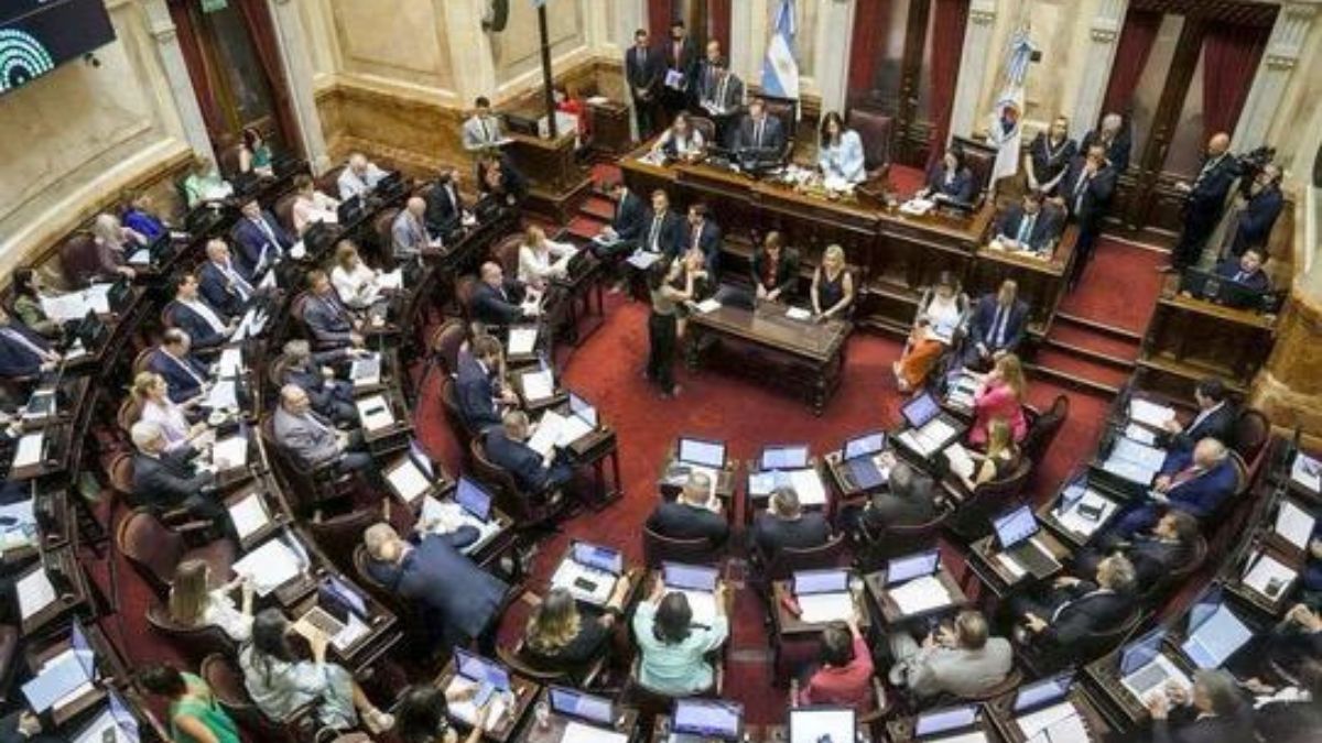 El Senado debate mañana la suspensión de las PASO: dudas por el pliego de Lijo