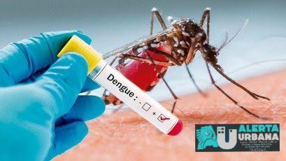 Dengue: Hay 130 casos positivos en la provincia de Corrientes
