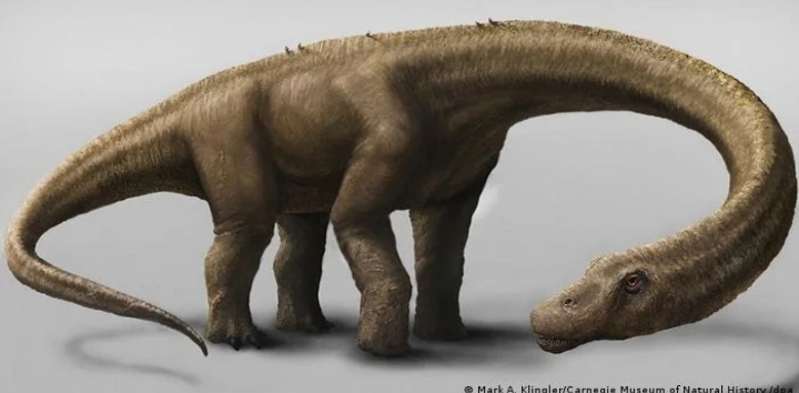 Es oficial: el titanosaurio más antiguo del mundo es argentino 