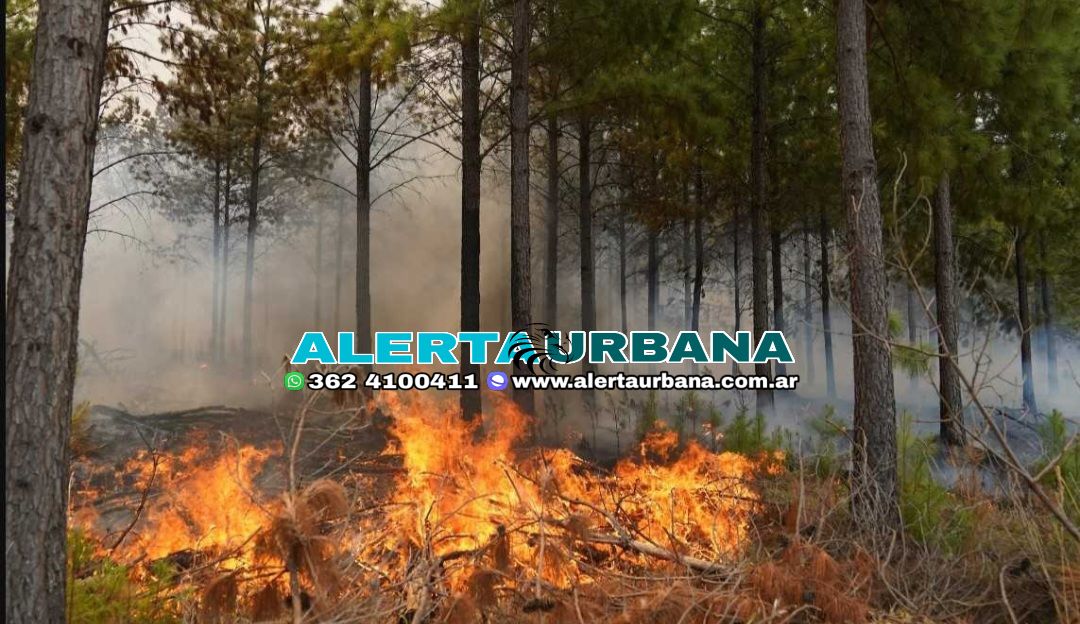 Corrientes: registraron 17 focos de incendios y el humo afectó a la capital de la provincia