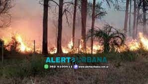 Está “controlado” el incendio que arrasó más de 5.000 hectáreas en Corrientes
