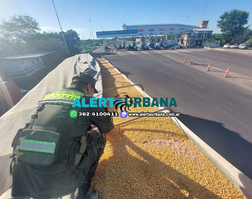 Puente General Belgrano: Gendarmería Nacional decomisó más de 27 toneladas de maíz