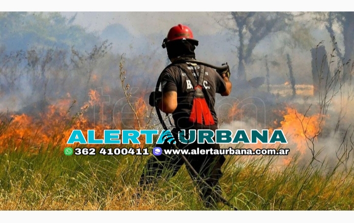 Corrientes y Misiones registran focos activos de incendios forestales