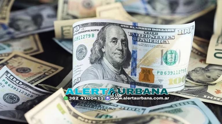 Dólar hoy lunes 27 de marzo: el oficial cotiza a $204,50 y el blue opera sin cambios a $385