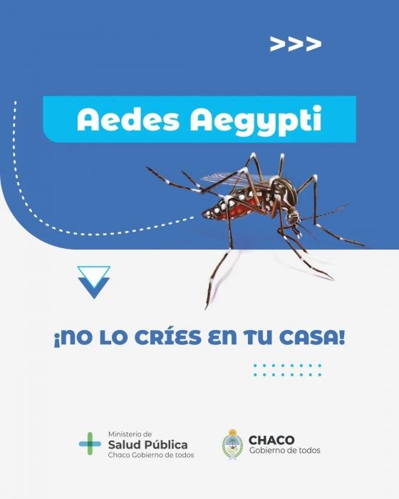 Chaco| Dengue: El Ministerio de Salud Pública reitera la importancia de las medidas preventivas