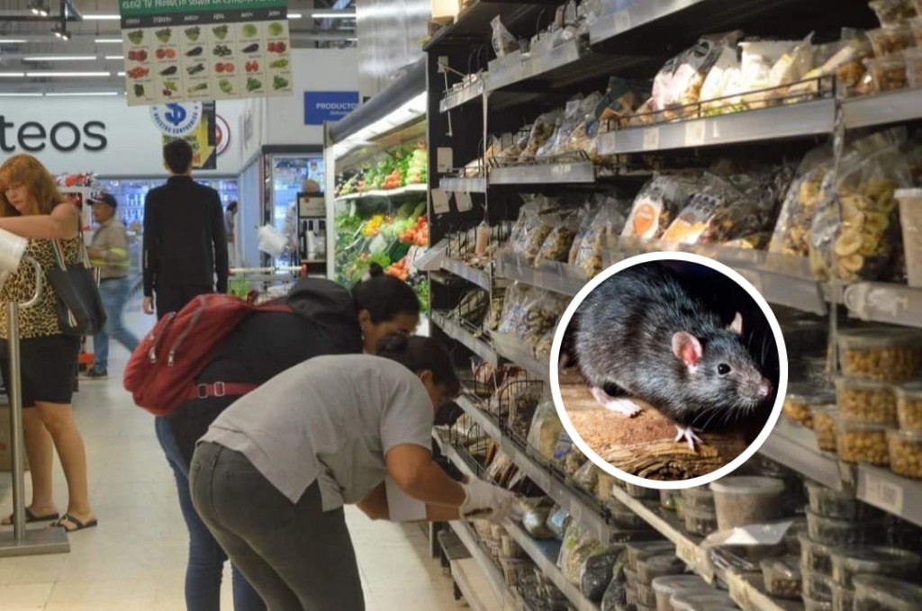 Encontraron rastros de plagas en un reconocido supermercado