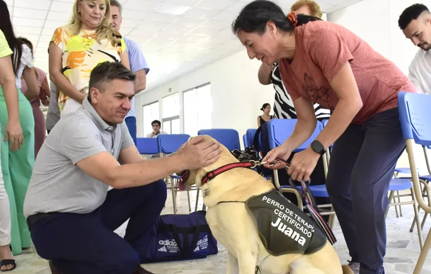 El Gobernador Zdero entregó cachorros de labrador a instituciones de educación y formación de personas con discapacidad