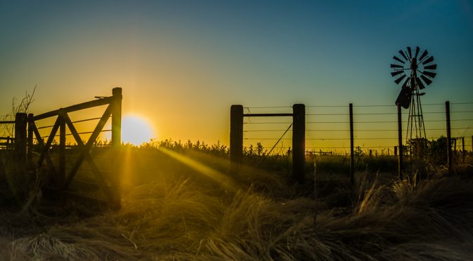 Hoy es 7 de marzo, hoy es el Día del Campo Argentino