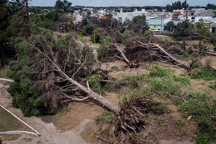 Bahía Blanca: Ya son 16 las víctimas mortales, mientras sigue la búsqueda de las niñas de 1 y 5 años