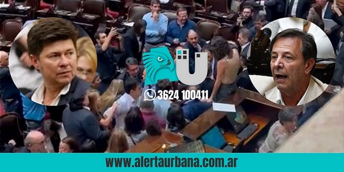 Escándalo en el Congreso: Los diputados Zago y Almirón se agarraron a las piñas