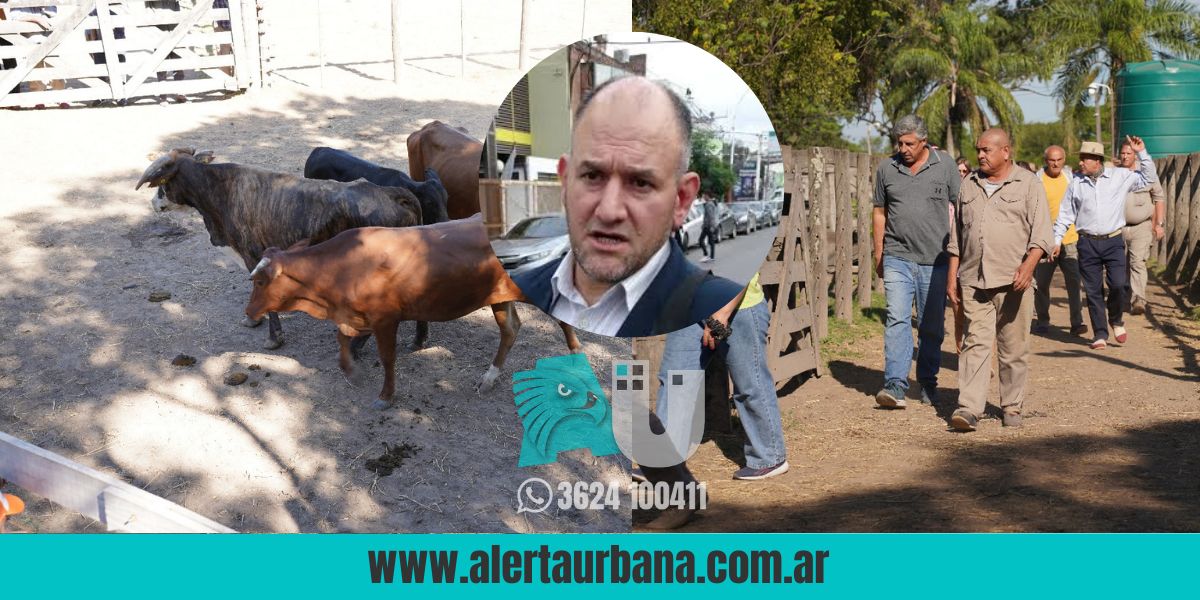  Supuesto abigeato de Osuna: identifican propietarios de los animales exhibidos