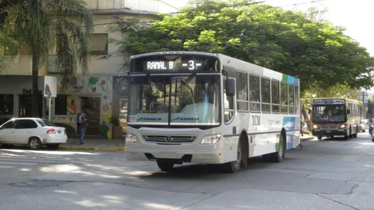 Zdero anunció “ChacoBus” una nueva app de transporte con geolocalización y cámaras de seguridad