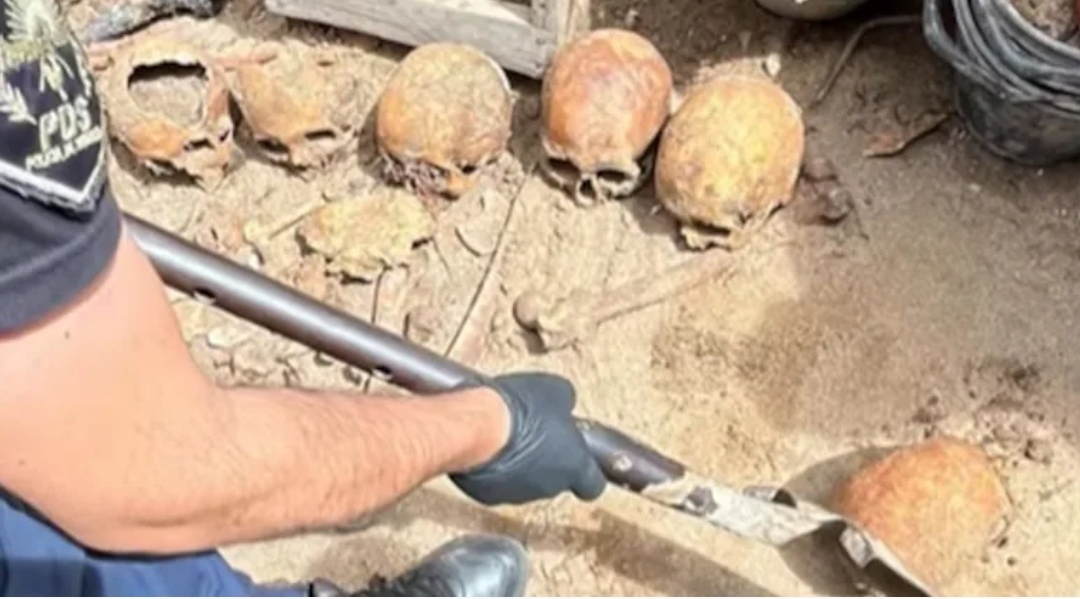 Un grupo de obreros refaccionaba una casa y encontró al menos 10 cráneos y otros restos humanos