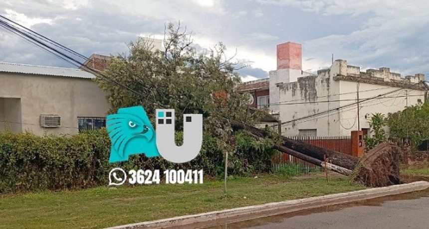 Temporal en Presidencia de la Plaza provocó daños materiales y corte de energía