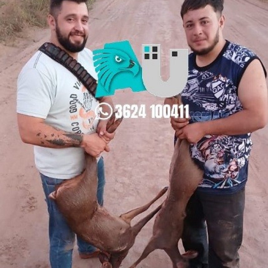 Ostentaron su logro y terminaron detenidos por cazar especies protegidas 