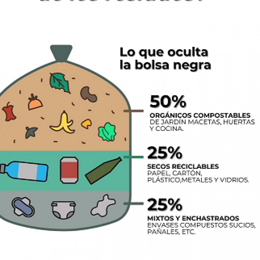 Para difundir la importancia del compostaje organizaron una ecoferia en Resistencia 