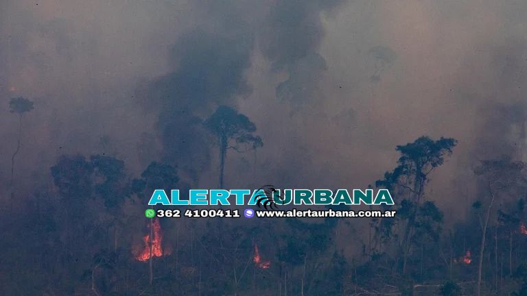 Los incendios en la Amazonía brasileña consumieron el 19% de su territorio entre 1985 y 2022
