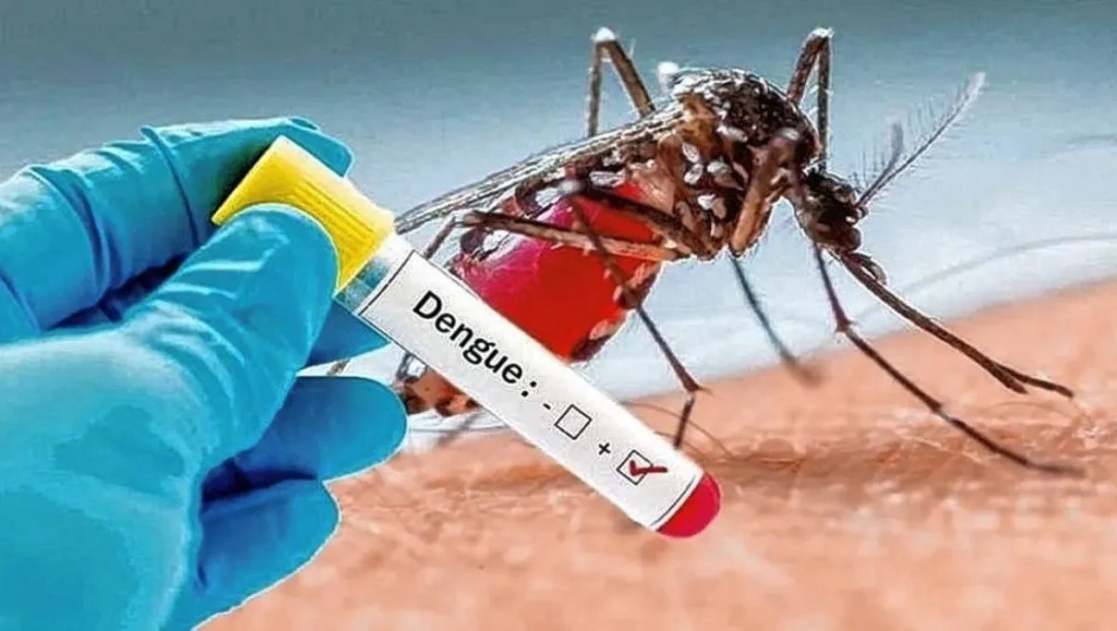 Emergencia sanitaria por dengue y vacunación gratis en Sáenz Peña