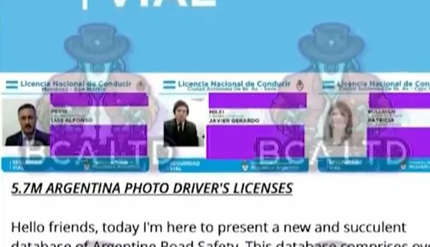 Hackean y roban datos de las licencias de conducir de todo el país: publican la de Milei y Bullrich